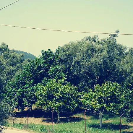 Maisonette In Olive Garden - 1km From Center *